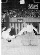 Aiki News